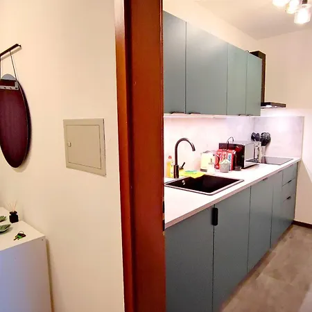 Lägenhet Homely Serenity Greens - Stylisch Studio-apartment With Kitchen - 15 Min From Station-pet Friendly